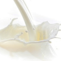 Melkzuur 80% online verkrijgbaar voor de groothandel